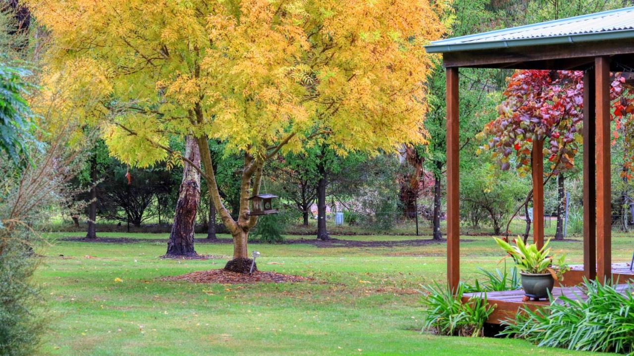 Beechworth Cedar Cottages المظهر الخارجي الصورة